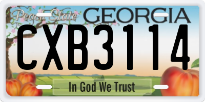 GA license plate CXB3114