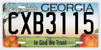 GA license plate CXB3115