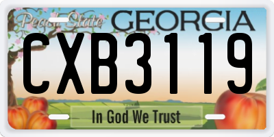 GA license plate CXB3119