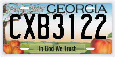 GA license plate CXB3122