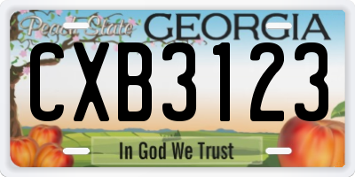 GA license plate CXB3123