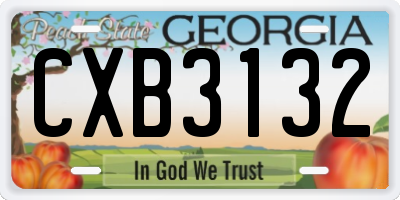 GA license plate CXB3132