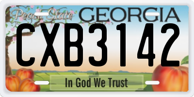 GA license plate CXB3142