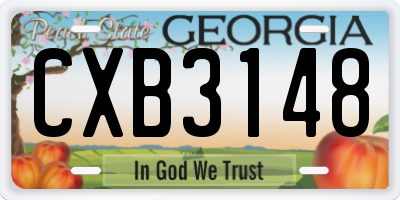 GA license plate CXB3148
