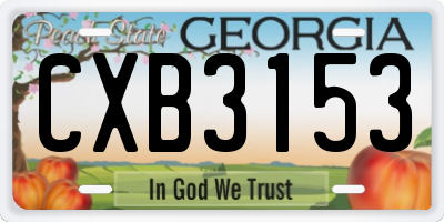 GA license plate CXB3153