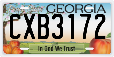 GA license plate CXB3172