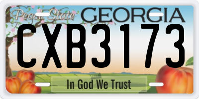 GA license plate CXB3173