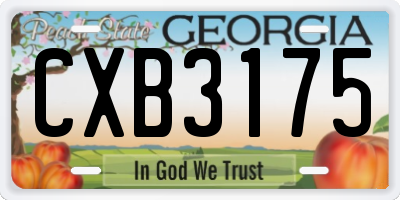 GA license plate CXB3175