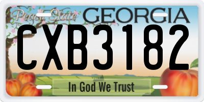 GA license plate CXB3182