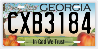 GA license plate CXB3184