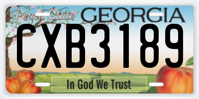 GA license plate CXB3189