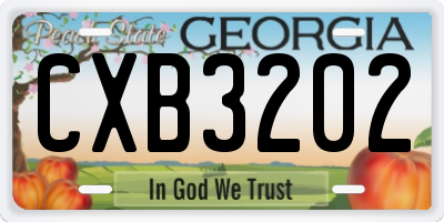 GA license plate CXB3202