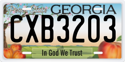 GA license plate CXB3203