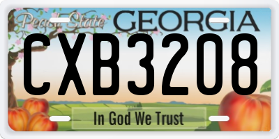 GA license plate CXB3208