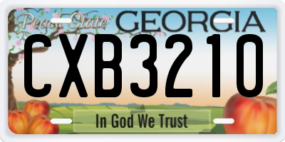 GA license plate CXB3210