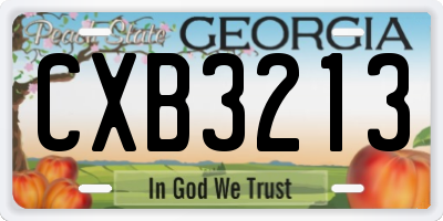 GA license plate CXB3213