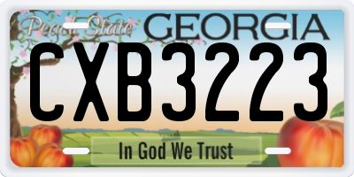 GA license plate CXB3223