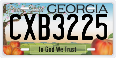 GA license plate CXB3225