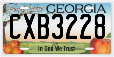 GA license plate CXB3228