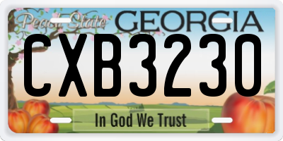GA license plate CXB3230