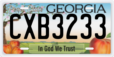GA license plate CXB3233