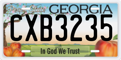 GA license plate CXB3235