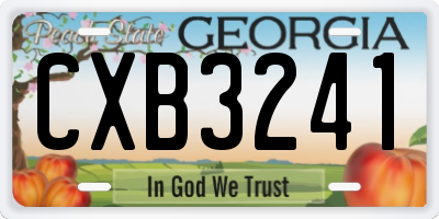 GA license plate CXB3241