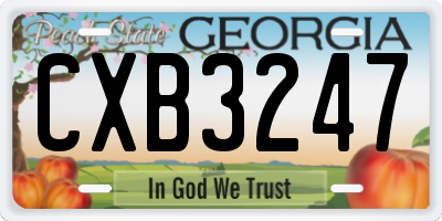 GA license plate CXB3247