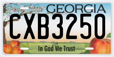 GA license plate CXB3250