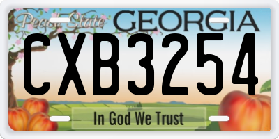 GA license plate CXB3254
