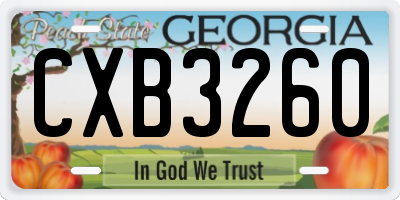 GA license plate CXB3260