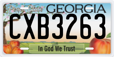 GA license plate CXB3263