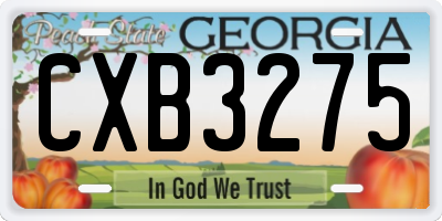 GA license plate CXB3275