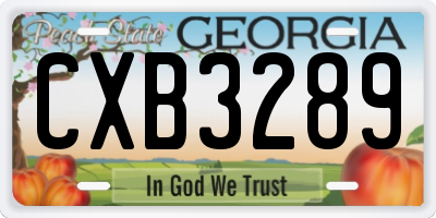 GA license plate CXB3289