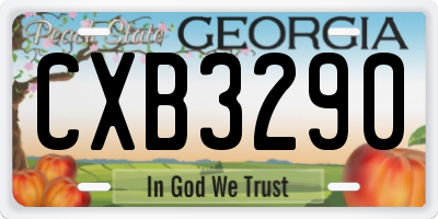 GA license plate CXB3290