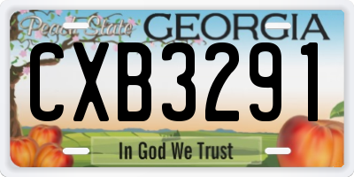 GA license plate CXB3291