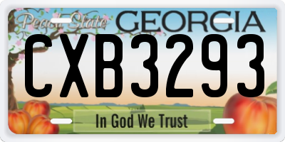 GA license plate CXB3293