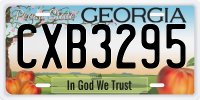 GA license plate CXB3295