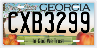 GA license plate CXB3299