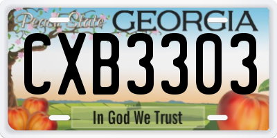 GA license plate CXB3303
