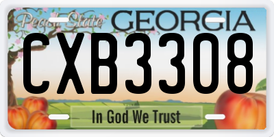 GA license plate CXB3308