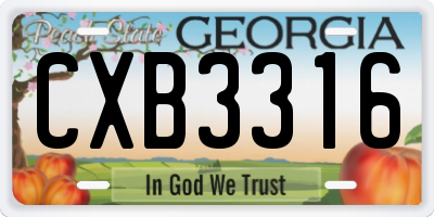 GA license plate CXB3316