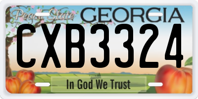 GA license plate CXB3324