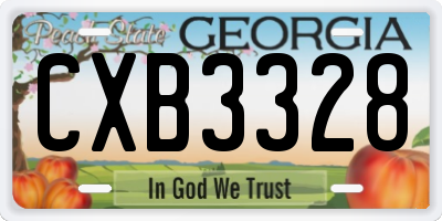 GA license plate CXB3328