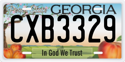 GA license plate CXB3329