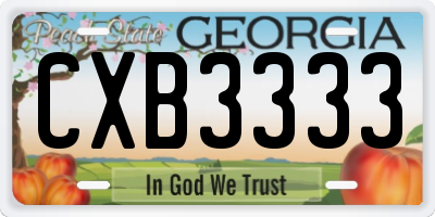 GA license plate CXB3333