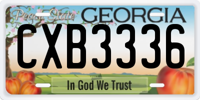 GA license plate CXB3336