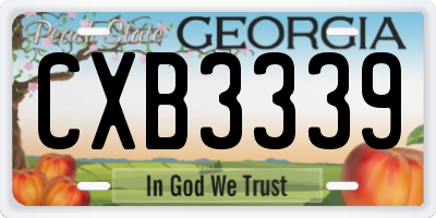 GA license plate CXB3339