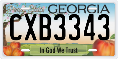 GA license plate CXB3343