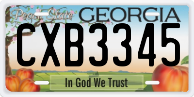 GA license plate CXB3345